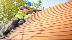 Best Roof Moss and Algae Removal  in Hicksville, NY